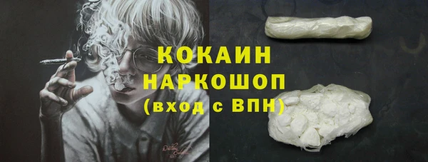 хмурый Няндома