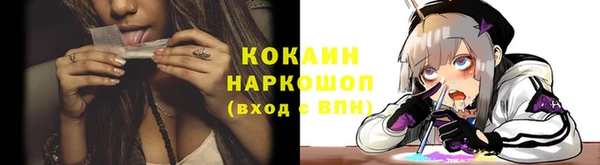 хмурый Няндома