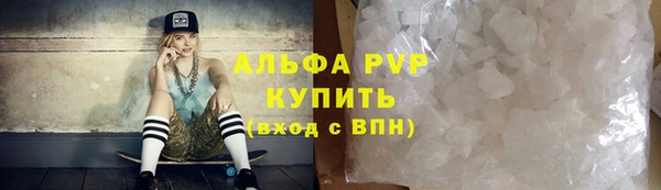 хмурый Няндома