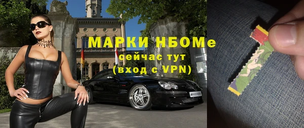 хмурый Няндома