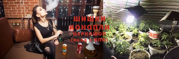 хмурый Няндома