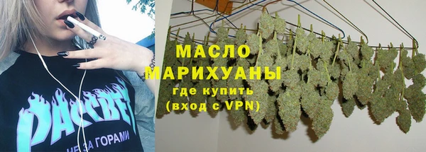 хмурый Няндома