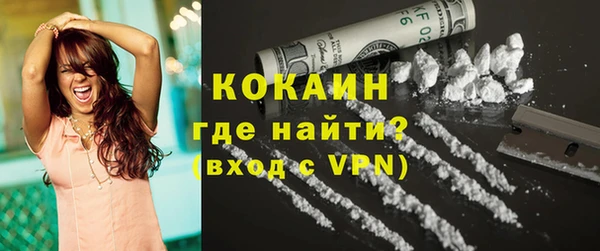 хмурый Няндома