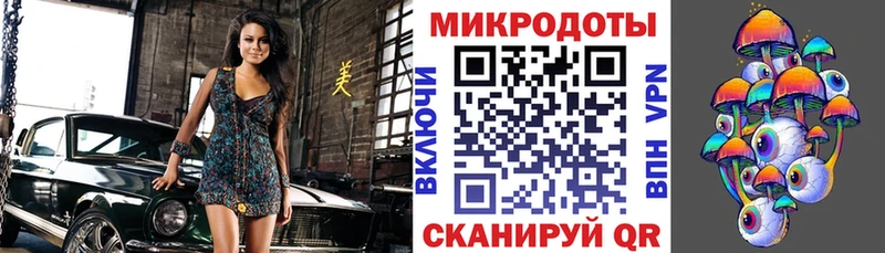 Галлюциногенные грибы Psilocybine cubensis Саратов