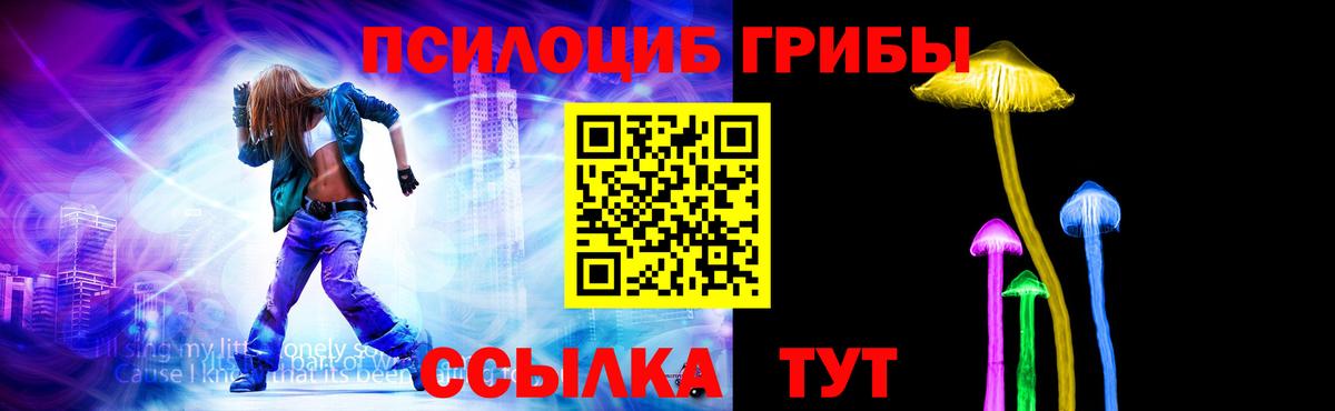 Галлюциногенные грибы Cubensis Саратов